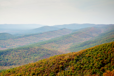 Panoramic views of the Ouachita National Forest.