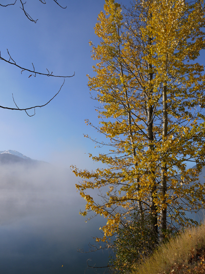 Fall Foliage