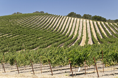 California: Paso Robles Wine Country