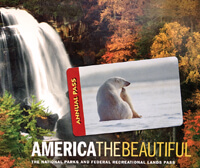 Free Shipping for the rest of the year on American the Beautiful Annual Passes.