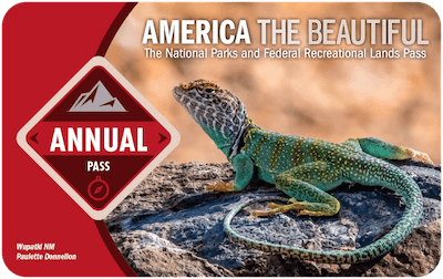 America the Beautiful National Parks Annual Pass