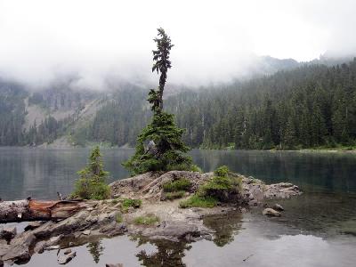 Washington: Mowich Lake Road