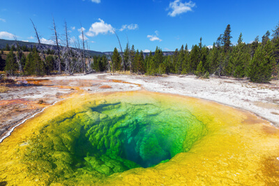 Wyoming: Yellowstone National Park